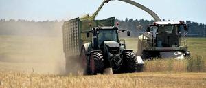 Ausverkauf. Beim Wettlauf um Agrarflächen in Brandenburg haben heimische Bauern wegen der hohen Preise oft das Nachsehen. Das will Brandenburgs Landesregierung jetzt mit einem Fünf-Punkte-Plan ändern. Eine erste Gelegenheit dazu hat sie allerdings nicht genutzt, kritisiert der Bauernbund Brandenburg.