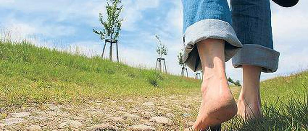 Ohne Sohle. Wiesenboden wechselt sich auf dem Weg mit Kopfsteinpflaster ab.