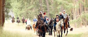Gelassene im Trab. Beim Spargelritt ging es durch die Feld- und Wiesenlandschaft Beelitzer Zauche.