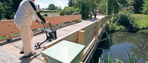 Bald kein Durchgang mehr. Das „Blaue Wunder“ wird gesperrt.