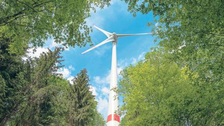 Zerstörtes Refugium. Die Bliesendorfer wollen einen Windrad-freien Wald.