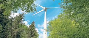 Zerstörtes Refugium. Die Bliesendorfer wollen einen Windrad-freien Wald.