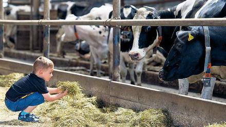 Mahlzeit. Viele Bauernhöfe sind geöffnet, und auch für das leibliche Wohl ist gesorgt. In diesem Fall gibt’s – Heu.