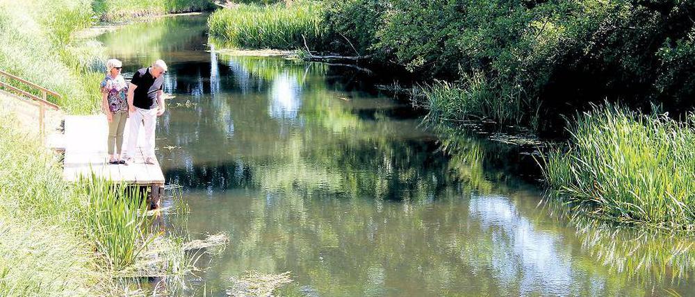 Nieplitz goes Spreewald. Erstmals gondeln Kähne über das Flüsschen in Beelitz.