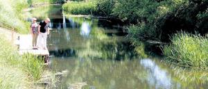Nieplitz goes Spreewald. Erstmals gondeln Kähne über das Flüsschen in Beelitz.