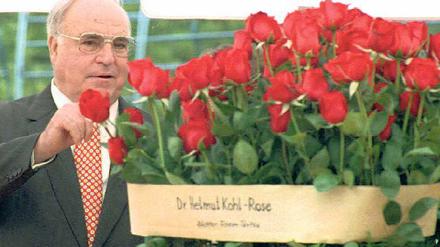 Rote Blüte. Ex-Bundeskanzler Helmut Kohl taufte auf der Buga 1995 in Cottbus eine Rosenzüchtung auf seinen Namen.