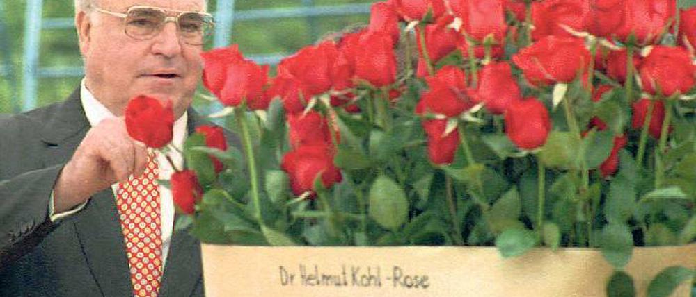 Rote Blüte. Ex-Bundeskanzler Helmut Kohl taufte auf der Buga 1995 in Cottbus eine Rosenzüchtung auf seinen Namen.