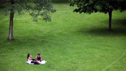 Für Picknickfans gibt es viele lauschige Plätze in Potsdam.