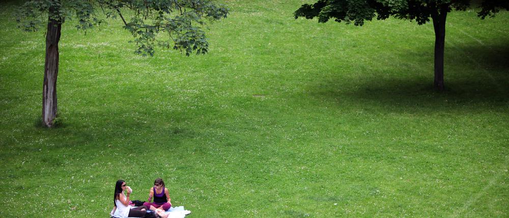 Für Picknickfans gibt es viele lauschige Plätze in Potsdam.