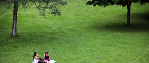 Für Picknickfans gibt es viele lauschige Plätze in Potsdam.