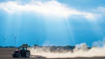 Alles geregelt? Der Landesentwicklungsplan bestimmt, wo in Brandenburg und Berlin beispielsweise Windparks zulässig sind. Ob er juristisch haltbar ist, wird von Experten bezweifelt.