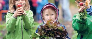 Erst gießen, dann essen. Kita-Kinder in der neuen „Ackerdemie“.