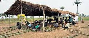 Freiluft-Atelier. Renzo Martens „Institute for Human Activities“ im Kongo.