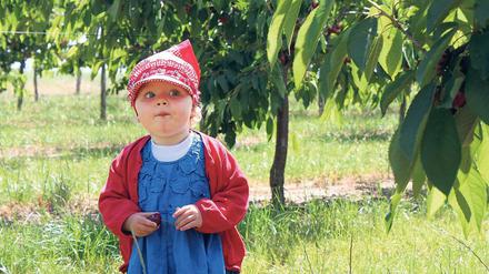Der Geschmack lohnt, aber die Arbeit nicht. Der Nachwuchs lässt es sich schmecken auf der Glindower Platte. Eine Laufbahn in einem Obsthof aufzunehmen, ist aber nur für wenige eine Option.