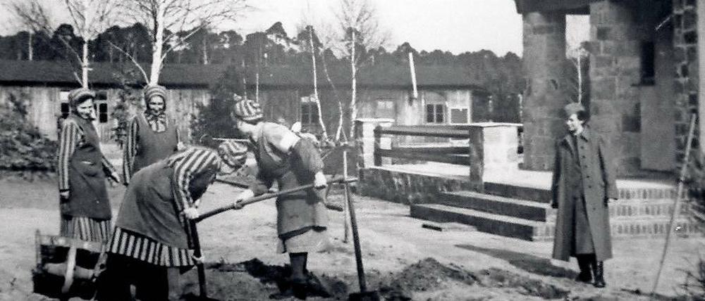 Demütigung und Schmerzen. Im KZ Ravensbrück erwarteten die Frauen Stockhiebe und das Entfernen der gesamten Behaarung. Hier ein Foto, das seinerzeit vermutlich zu Propagandazwecken genutzt wurde – eine SS-Aufseherin beaufsichtigt inhaftierte Frauen bei der Arbeit.