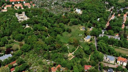 Blick auf den Pfingstberg. In der Mitte oben ist die imposante Villa Henckel von Döpfner zu sehen. Von dort aus erstreckt sich nach rechts der verwilderte Welterbe-Park.