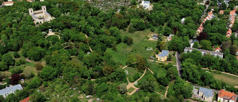 Blick auf den Pfingstberg. In der Mitte oben ist die imposante Villa Henckel von Döpfner zu sehen. Von dort aus erstreckt sich nach rechts der verwilderte Welterbe-Park.