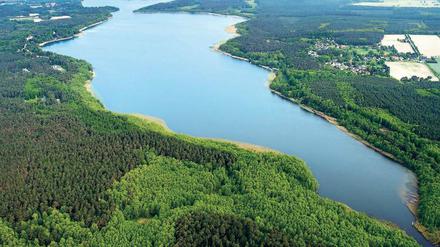 Versteckt unter Bäumen. Hier am Storkower See soll sich 2012 die Entführung eines Berliner Bankers zugetragen haben. Laut Staatsanwaltschaft kommt dafür nur ein ehemaliger Dachdecker aus Berlin infrage. Dabei gibt es am Alibi eines Ex-Polizisten, dessen Spur die Ermittler nicht konsequent verfolgten, nach wie vor Zweifel.
