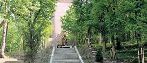 Noch Platz für Blumen. Der aufgehübschte neue Park am Wasserturm.