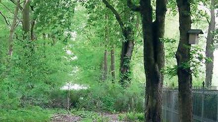 Gesperrt. Zum Havelstrand ist kein Durchkommen mehr.