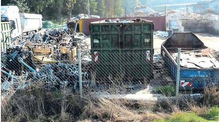 Obsttrester. So lautet die Diagnose des Landesumweltamtes für die absterbende Wiese.