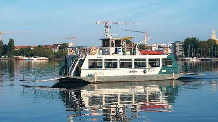 Im Weg? 2014 rasten vier Hobbyskipper in die Seile der ViP-Fähre.