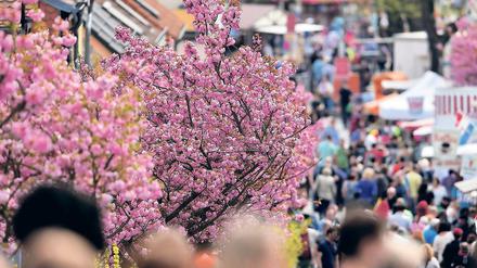 Total dezentral. Die Hälfte der Bahngäste wählt statt des Zentrums die Festmeile am Hohen Weg.