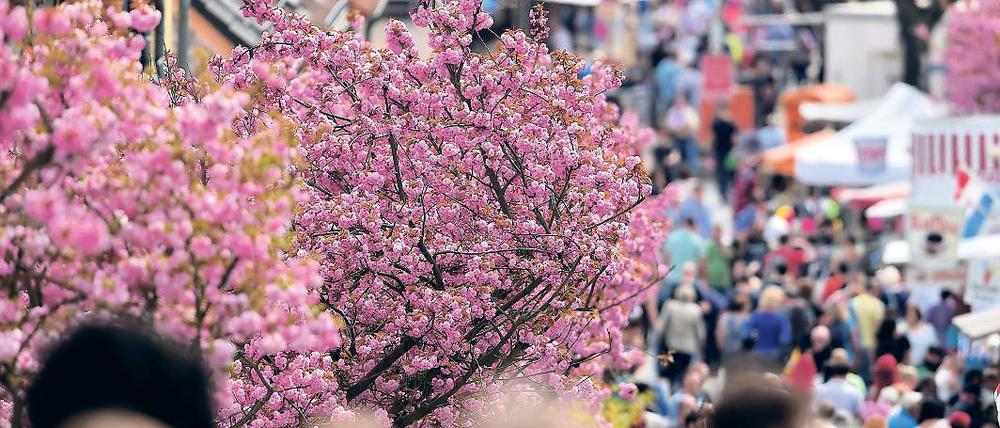 Total dezentral. Die Hälfte der Bahngäste wählt statt des Zentrums die Festmeile am Hohen Weg.