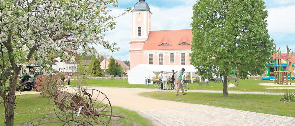 Geschmückt. Die Ortsmitte von Reesdorf gab gestern ein perfektes Bild ab.