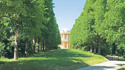 Verwunschen. Das Belvedere auf dem Klausberg, fotografiert von Illert Hibbeken.