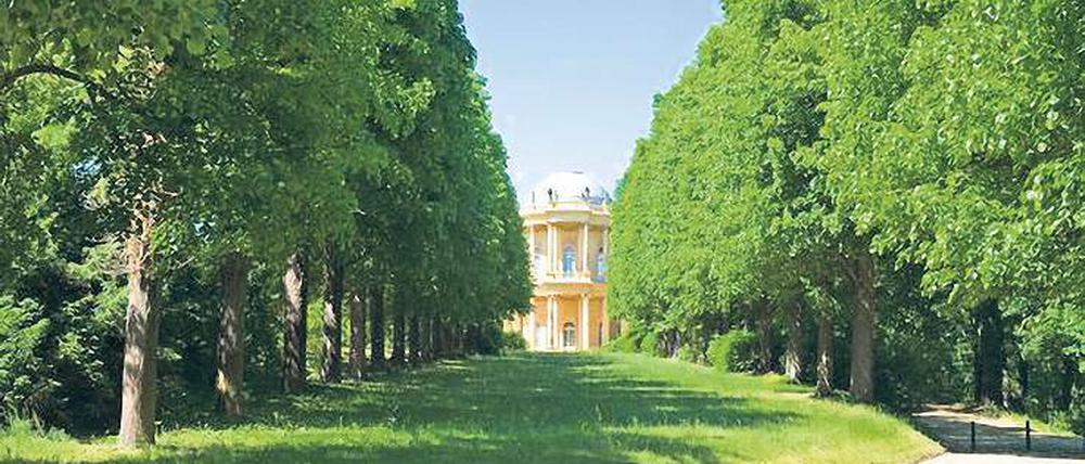 Verwunschen. Das Belvedere auf dem Klausberg, fotografiert von Illert Hibbeken.