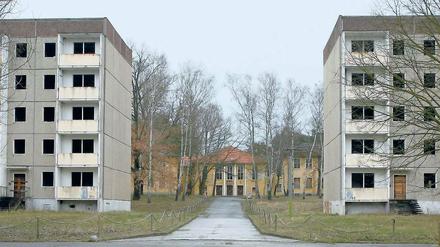 Kreativpotenzial. Auch leer stehende Plattenbauten sollten genutzt werden.