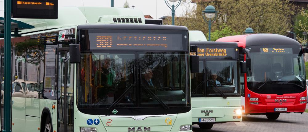 Busse am 28. April auf dem Bahnhofsplatz in Frankfurt (Oder): Hier wurde der Streik am frühen Dienstagmorgen überraschend abgesagt.