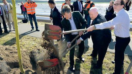 Zugeschippt. Bei Beelitz pflanzte Alexander Dobrindt (r.) einen Alleebaum.