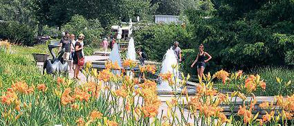 Blütenpracht. Auf der Freundschaftsinsel öffnet der Staudenbasar.