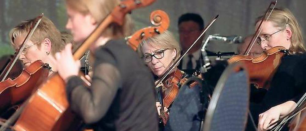 Spielen um des Spielens willen. Das Collegium musicum bei einem Konzert in der Biosphäre im Januar dieses Jahres.