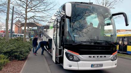 Die Linie F84 fährt ab Potsdamer Hauptbahnhof nach Dresden. Außerdem gibt es Richtung Norden täglich einen Bus über Hamburg nach Flensburg.