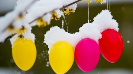 Weiße Ostern? Es ist etwas zu kühl für diese Jahreszeit, Schnee soll es aber nicht geben.