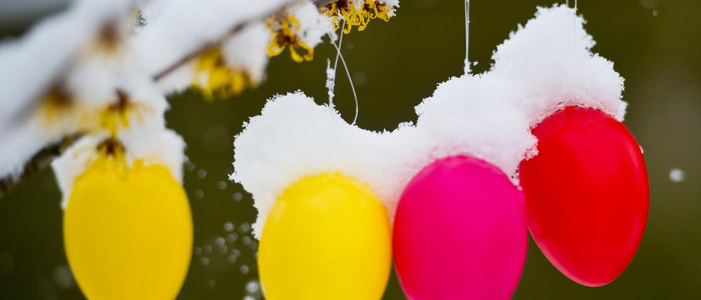 Weiße Ostern? Es ist etwas zu kühl für diese Jahreszeit, Schnee soll es aber nicht geben.