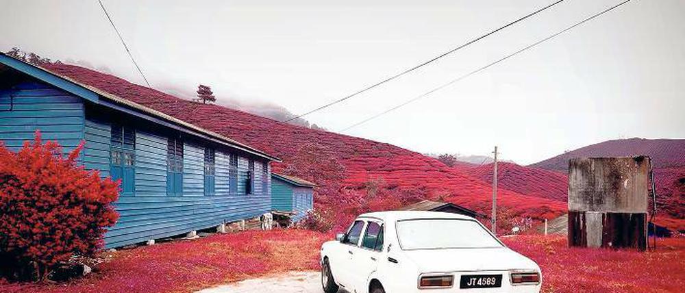 Wo beginnt die Natur, wo endet der menschliche Eingriff? Durch Infrarot-Aufnahmen macht Michael Schulze die Untrennbarkeit von beidem sichtbar.