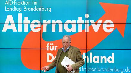Der brandenburgische Landesvorsitzende Alexander Gauland steht oft in der Kritik - die Stadtpolitiker in Potsdam wählen einen anderen Weg.