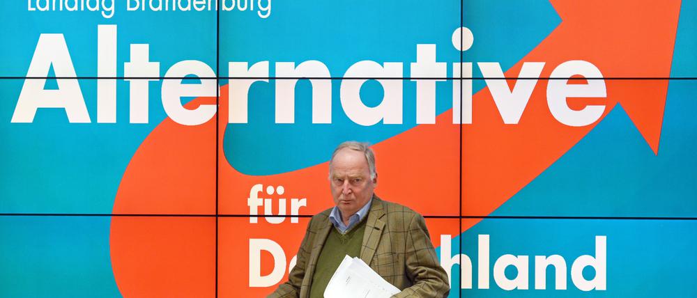 Der brandenburgische Landesvorsitzende Alexander Gauland steht oft in der Kritik - die Stadtpolitiker in Potsdam wählen einen anderen Weg.