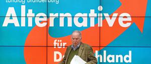 Der brandenburgische Landesvorsitzende Alexander Gauland steht oft in der Kritik - die Stadtpolitiker in Potsdam wählen einen anderen Weg.