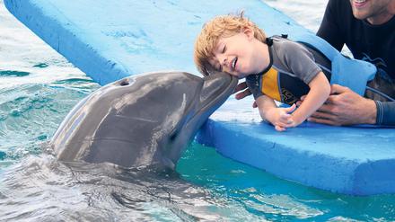 Glücksmoment. Zwei Wochen lang traf Matteo täglich die Delfindame Nubia. Die Therapie hat ihn entspannter gemacht, sagen die Eltern.