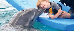 Glücksmoment. Zwei Wochen lang traf Matteo täglich die Delfindame Nubia. Die Therapie hat ihn entspannter gemacht, sagen die Eltern.