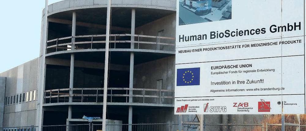 Eine Bauruine. 11 Millionen Euro flossen an öffentlichen Geldern. Übrig blieb nichts.