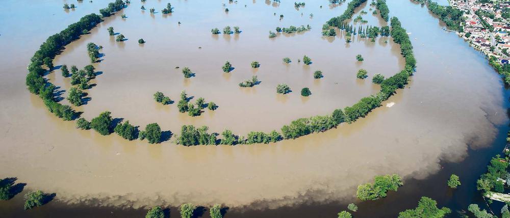 Land unter. Die weit über ihre Ufer getretene Elbe im Juni 2013.