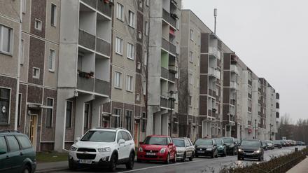 Konrad-Wolf-Allee in Drewitz: Mit 15 Millionen wird der nächste Umbau-Schritt gefördert.