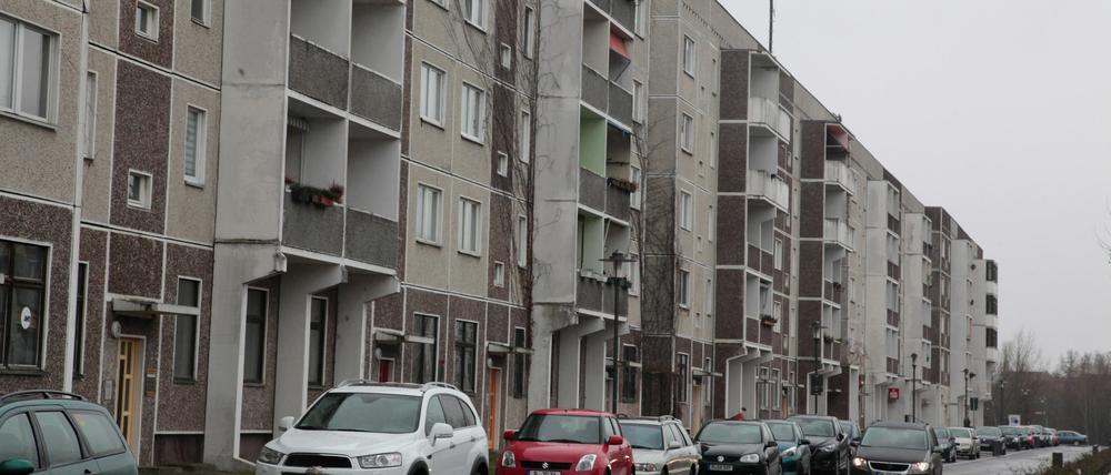 Konrad-Wolf-Allee in Drewitz: Mit 15 Millionen wird der nächste Umbau-Schritt gefördert.