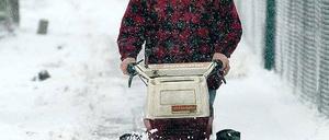 Schluss mit lustig. In Kleinmachnow muss der Schnee künftig von Hand beseitigt werden, zumindest auf unbefestigten Gehwegen und Wegen, die mit Mosaiksteinen gepflastert sind.